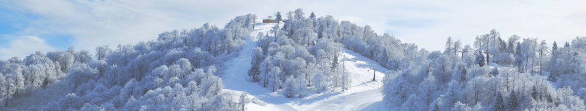 Kartepe, Kocaeli